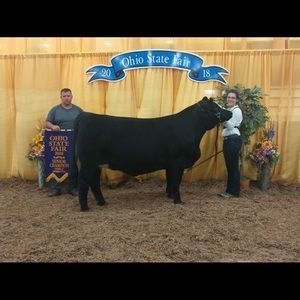 Meet your Posher, Amber